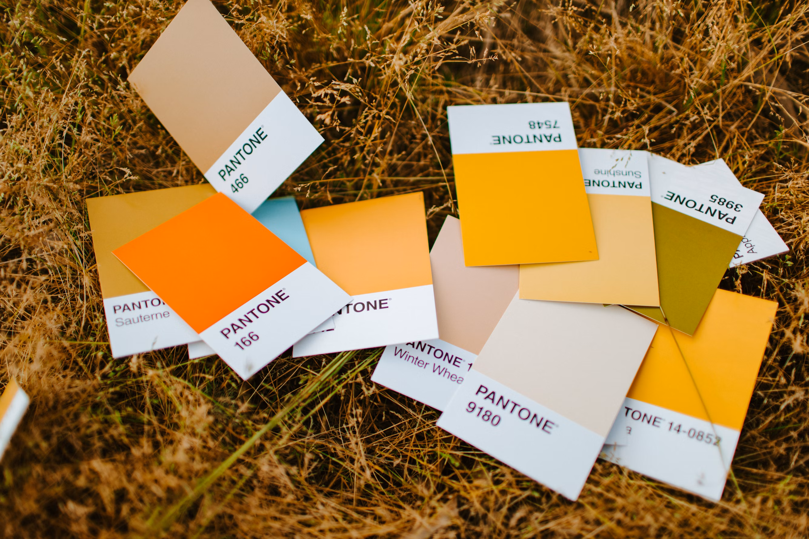 Paint color swatches scattered on a surface showing difficulty of choosing wall colors